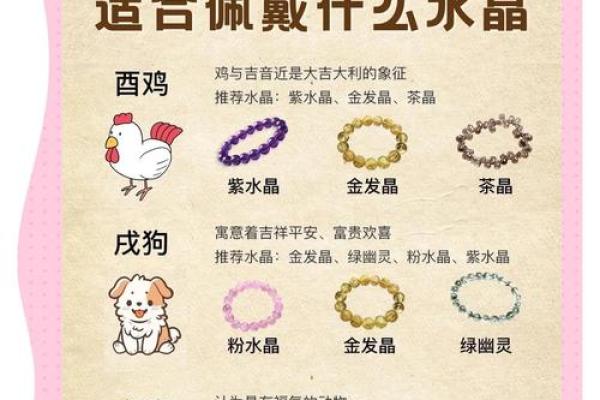 十二生肖女神：魅力生肖，璀璨星光
