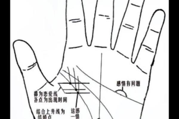 手相与命理：你值得知道的秘密