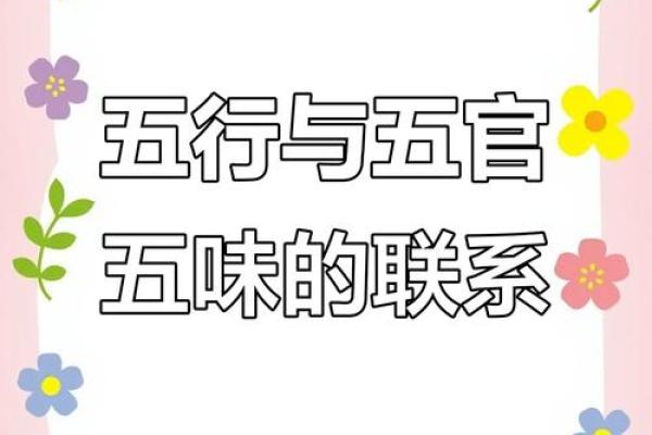 五官与五行的神秘关联，揭开面相背后的五行密码