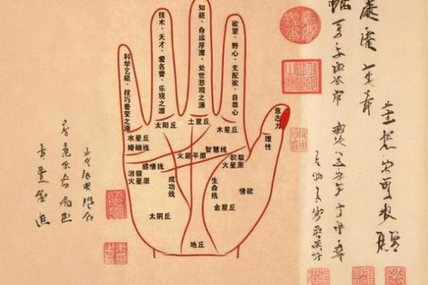 揭秘手相奥秘：指节纹手相图解大全，一图掌握命运密码