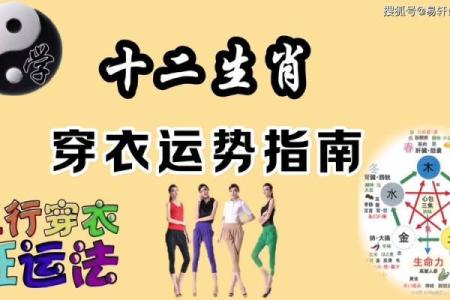 丁亥年五行属什么？深度剖析命理与运势