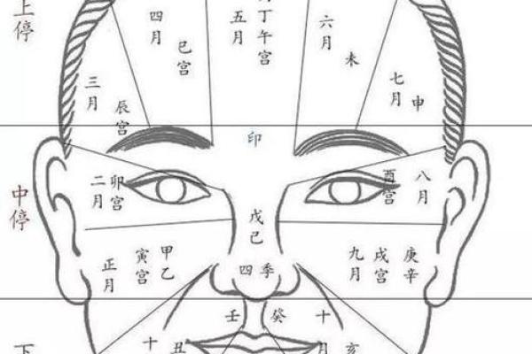 揭秘胎记背后的命运密码：面相大师教你识胎记，掌握人生运势