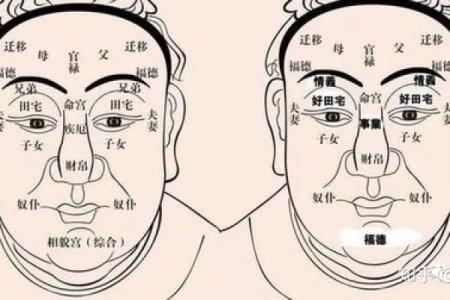 揭秘胎记背后的命运密码：面相大师教你识胎记，掌握人生运势