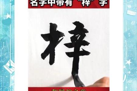 专家推荐：梓字作为男孩名字的独特寓意