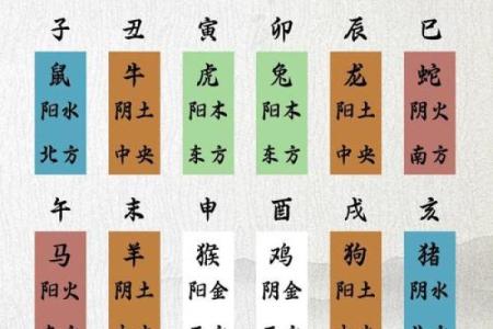 从天干金看五行相生相克，运势如何左右生活