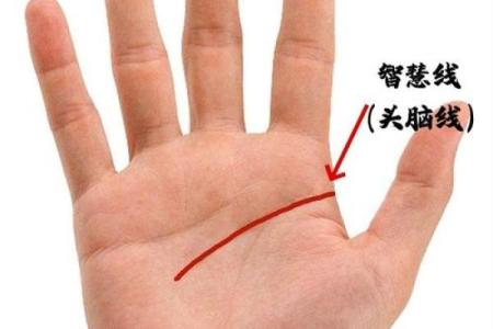 手相揭秘：名誉线穿越智慧线，预示着怎样的命运转折？