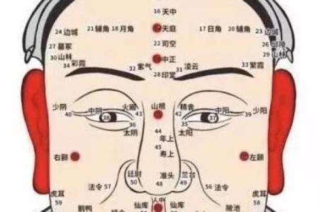 痣相鉴定师：揭秘痣相背后的秘密力量