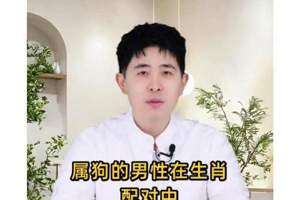 看这里揭秘男狗最般配的属相秘籍