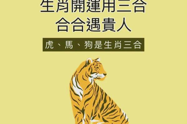 看这里揭秘男狗最般配的属相秘籍