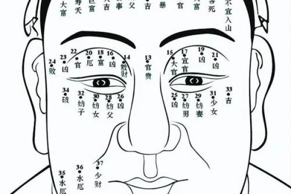 痣相揭秘：揭秘你的命运好坏，你敢看吗？