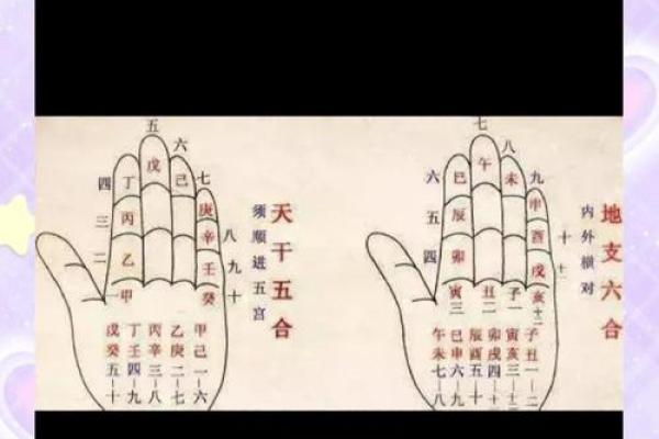 用神分析：天干与地支的不同解读方法