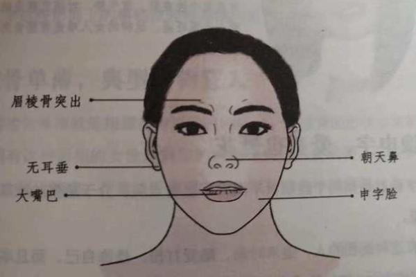 男孩面相揭秘：这些特征预示着未来男宝多多