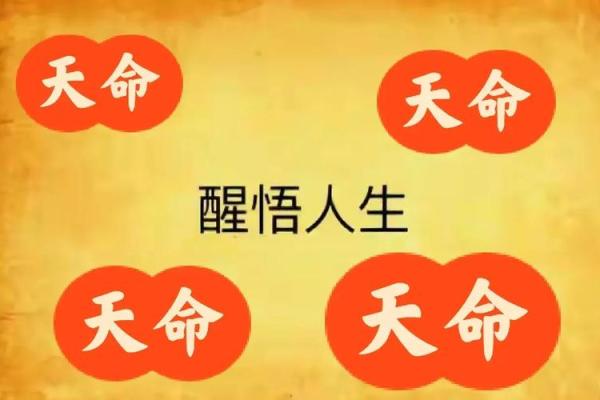出生的人命运如何？揭示命理中的深层秘密