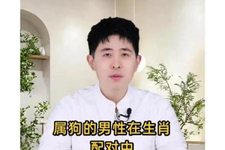 看这里揭秘男狗最般配的属相秘籍