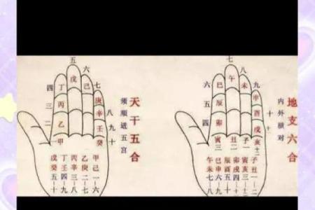 用神分析：天干与地支的不同解读方法