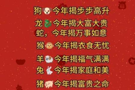 生肖贵人揭秘：谁能助你一臂之力，财运亨通、事业有成