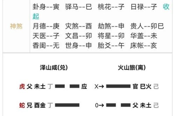 元亨利贞六爻排盘指南：轻松在线预测未来走势