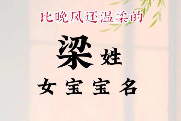 梁起名技巧，帮你轻松挑选完美名字