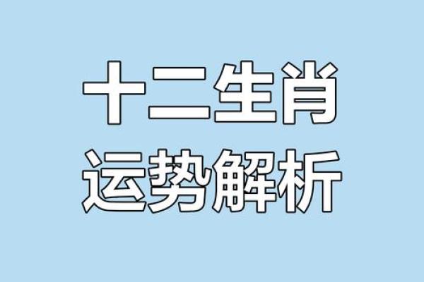 揭秘12生肖：揭秘生肖背后的神奇力量与运势解析
