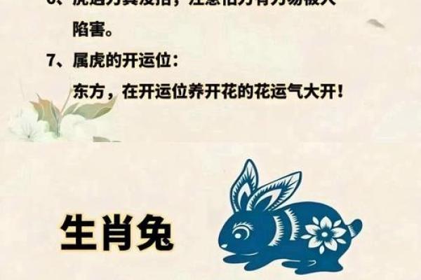 揭秘12生肖：揭秘生肖背后的神奇力量与运势解析