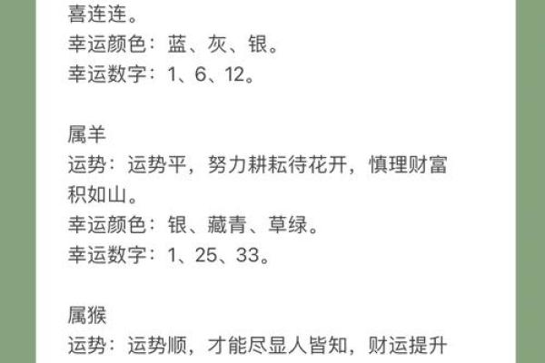 生肖运势大揭秘：2024年属鼠、属牛、属虎等十二生肖财运亨通指南