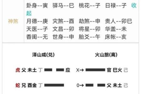 元亨利贞六爻排盘指南：轻松在线预测未来走势