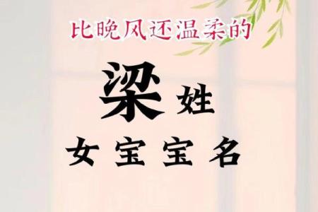 梁起名技巧，帮你轻松挑选完美名字