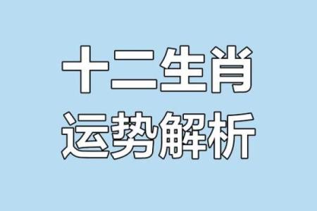 揭秘12生肖：揭秘生肖背后的神奇力量与运势解析