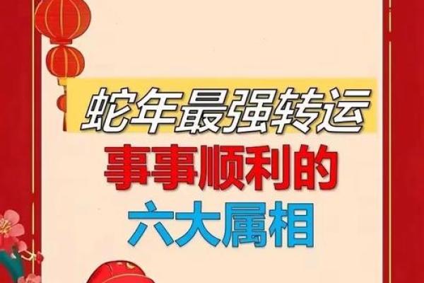 遇什么生肖最旺财？揭秘生肖财运秘籍