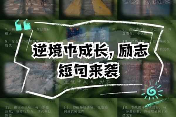 揭秘：什么时间是娃娃命，让你的人生从此焕发光彩