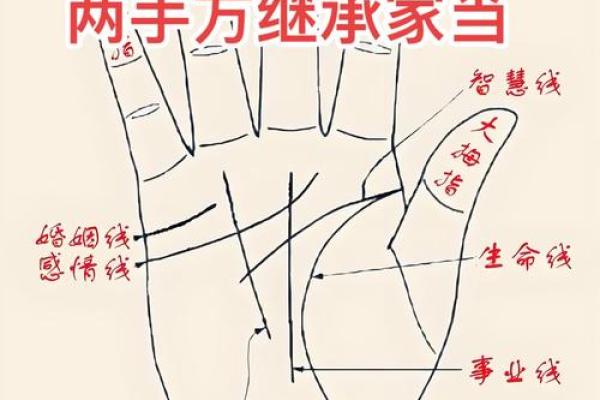 掌握天干掌上，轻松看懂人生的走势