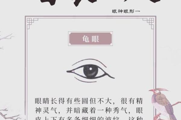 眉眼如画，面相揭秘：如何一眼看出一个人的命运与性格