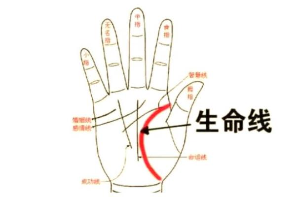 手相揭秘：一招识破是否处女座