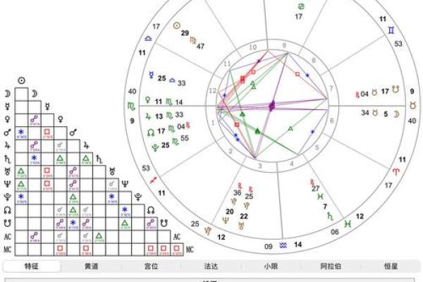 在线排盘分析：精准解读你的个人星盘