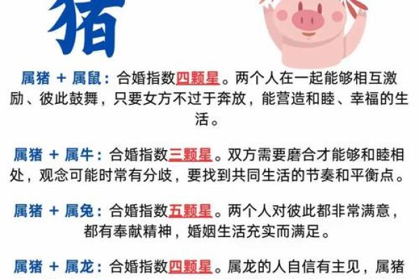猪属天干与性格的深度剖析，你属于哪一类？