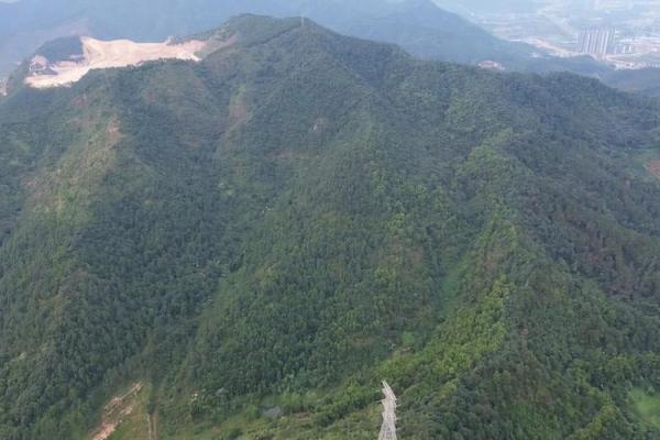 揭秘现代风水宝地：你家是不是隐藏着黄金屋？
