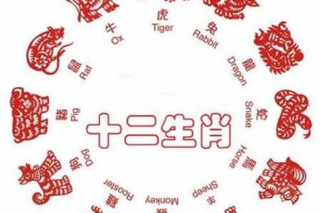 揭秘：11月运势大揭秘，你属什么生肖？