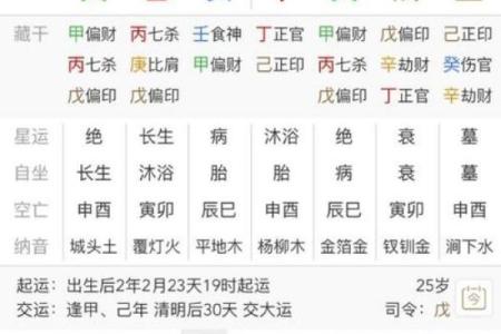 紫薇排盘真太阳时解密：掌握命运的关键时刻