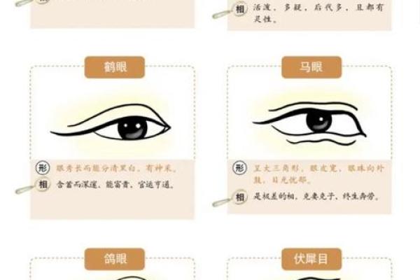 眼角皱纹昭示智慧，揭秘皱纹面相背后的运势密码