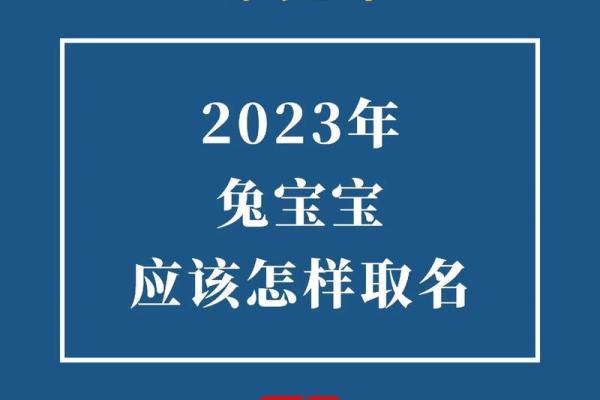 兔年2月出生是什么命？揭秘2023兔年2月宝宝独特命运之谜