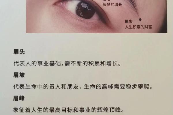 眉形透露运势：揭秘眉形与命运的秘密
