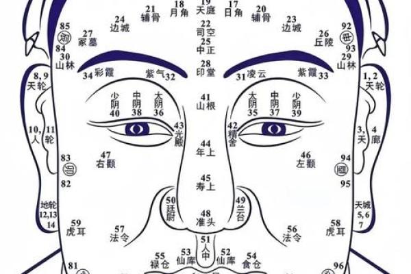 眉形透露运势：揭秘眉形与命运的秘密