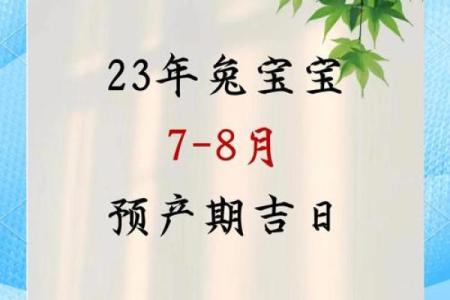 兔年2月出生是什么命？揭秘2023兔年2月宝宝独特命运之谜