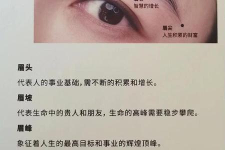 眉形透露运势：揭秘眉形与命运的秘密