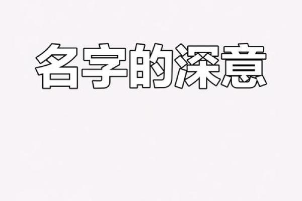 琦字在名字中的寓意与搭配技巧