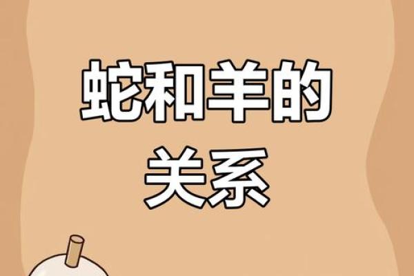 属鼠遇属蛇：缘分天定，生肖配对大揭秘