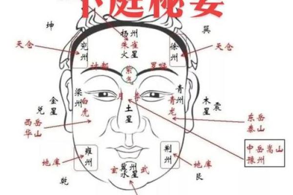 三亿面相揭秘：揭秘那些你不知道的五官秘密