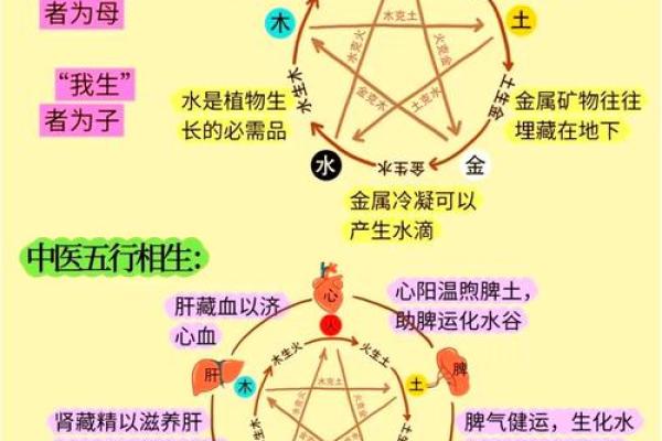 阴阳五行与命运：掌握五行力量，改变一生