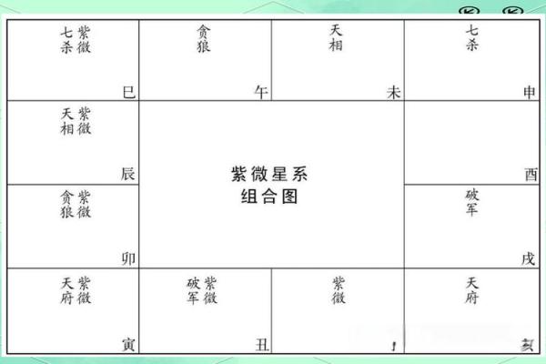 元贞星在紫薇排盘中的神秘作用，你是否了解？