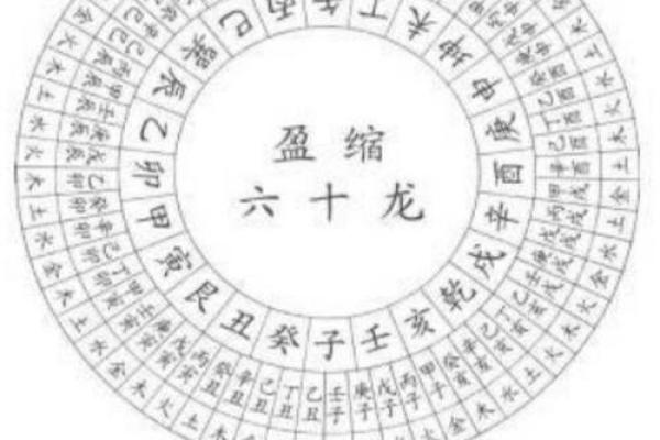 揭秘：甲寅年为何被称为水命年，运势解析大揭秘